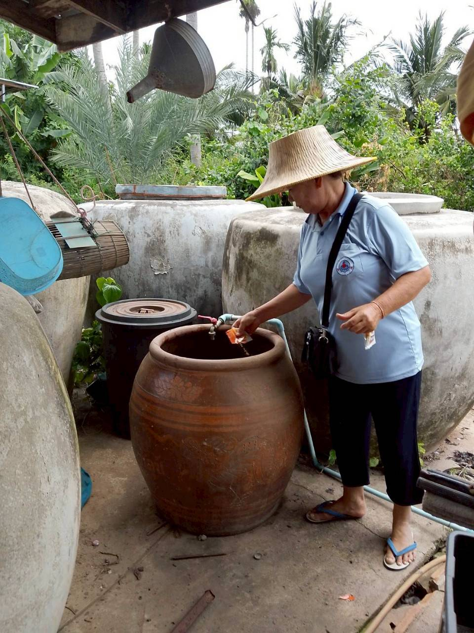 โครงการป้องกันและควบคุมโรคไข้เลือดออก ประจำปี 2568